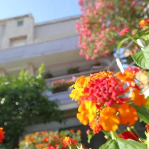 Apartament Pejić, Pula